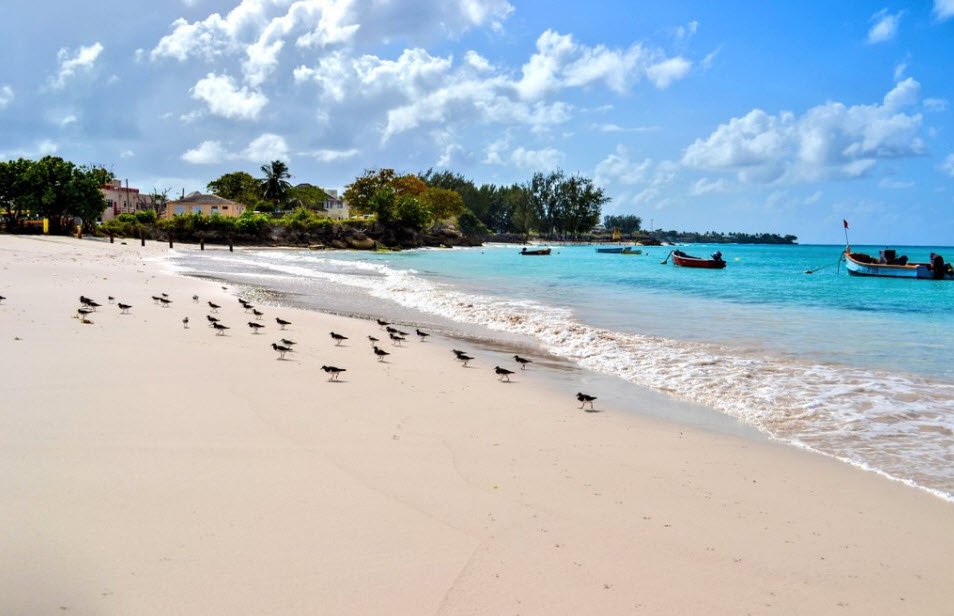Welches Beach, , Barbados
